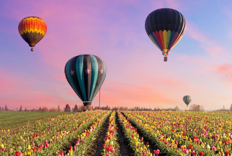 Dollarphotoclub_107205878 copy-min