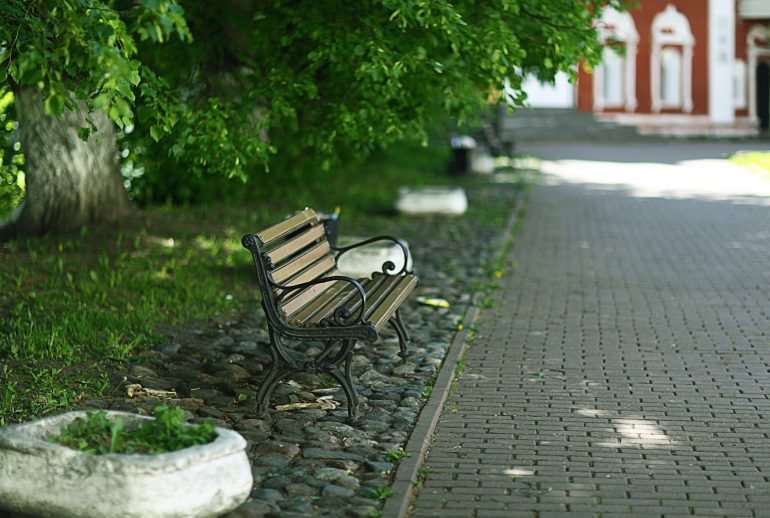 bench in a summer park recreation