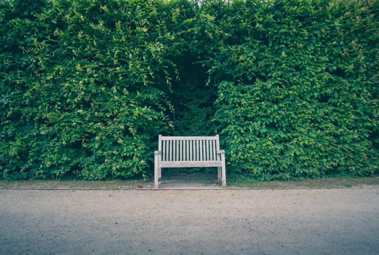 Dollarphotoclub_86610791-min