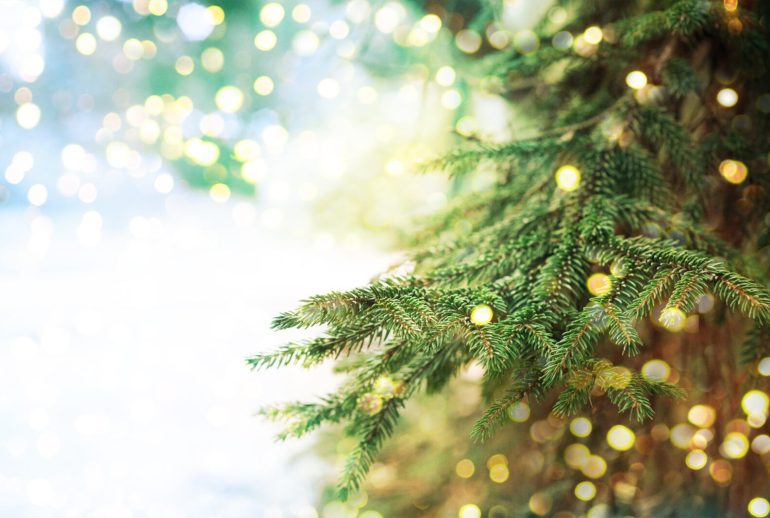 Closeup,Of,Christmas-tree,Background