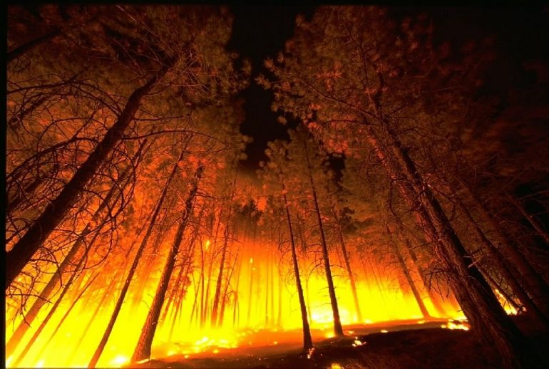 wildfire-568617_1280